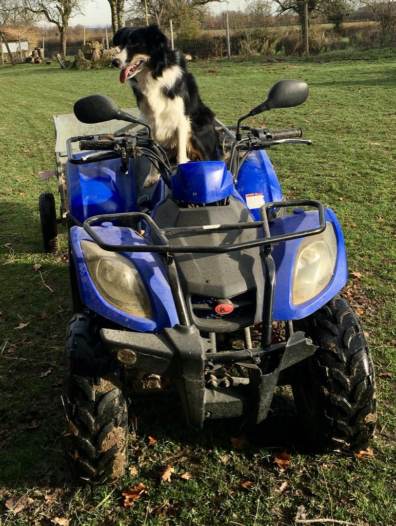 Des Pres D'Estela - OLLY ET SON QUAD